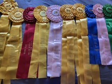 gaited horses for sale gaited horses for sale Palm Desert
