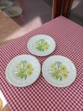 Kensington staffordshire sandw for sale  SHEPTON MALLET