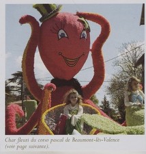 2006 char fleuri d'occasion  France