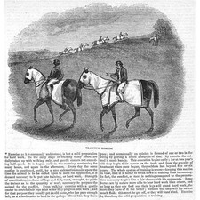 Training horses antique for sale  GLASGOW