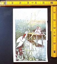 Vintage dad quinine for sale  Florence