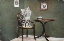 cute table chairs for sale cute table chairs for sale USA