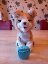 Furreal lexie trick for sale Furreal lexie trick for sale  DUDLEY