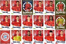 Panini fifa club gebraucht kaufen  Zweibrücken