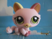 Petshop cat sphynx d'occasion  Expédié en Belgium