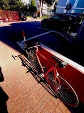 Bici corsa colnago usato  Civitanova Marche