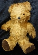 Teddy bear pedigree for sale  HASTINGS