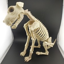 Dog skeleton halloween for sale  Union City