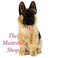 German shepherd bocchetta d'occasion  Expédié en Belgium