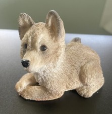 Wolf cub cattle for sale  Raleigh