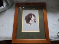 Framed water colour for sale  HAWICK