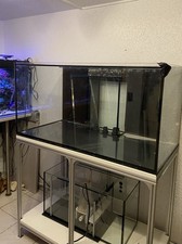 Meerwasser aquarium 430 gebraucht kaufen  Braunschweig