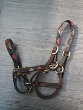 pony headcollar for sale  MELTON MOWBRAY