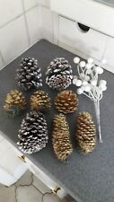 Lot pine cones for sale  SUTTON