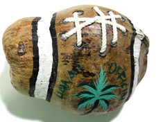 Hawaii official football for sale  South Jordan