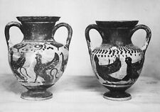 46a tolfa museo usato  Lugo