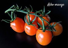 Japanische sorte tomate gebraucht kaufen  Berlin