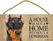 Doberman indoor dog for sale  Rochester