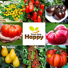 Tomato vegetable seeds for sale  DONCASTER