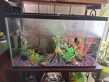 Fish tank decorations for sale  Asheboro