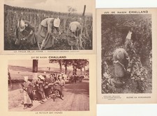 Lot cpa nuits d'occasion  Mont-de-Marsan