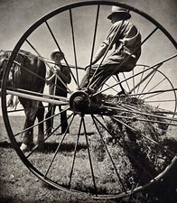 Hay making study d'occasion  Expédié en Belgium