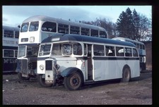 Original bus slide for sale  PUDSEY