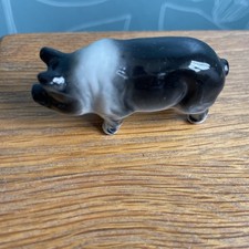 Miniature ceramic pig for sale  FELTHAM