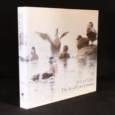 2004 birds light for sale  BATH