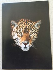 Genuine jaguar xjr for sale  HUNTINGDON