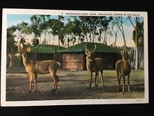 Vtg postcard barasingha for sale  Olathe