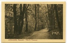 Primi 900 avigliana usato  Italia