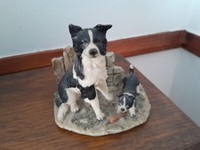 Vintage border collie for sale  OSSETT