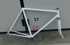Telaio bicicletta bianchi usato  Caselle Torinese
