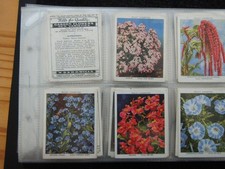 cigarette cards garden flowers for sale  MELTON MOWBRAY