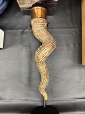 Skyrim horn darri for sale  La Mirada