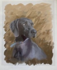 Black labrador retriever for sale  Mount Gilead