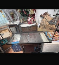 Large glass fish for sale  SUTTON COLDFIELD