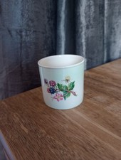 Royal worcester palissy for sale  NORWICH