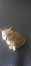 Beswick persian kitten for sale  CARDIFF