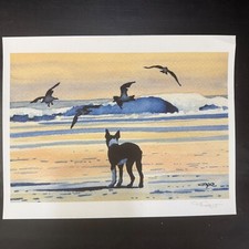 Sea sunset boston for sale  Beaufort