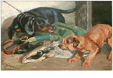 Dog 38136. dachshund. d'occasion  Expédié en Belgium