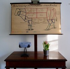 Vintage schulwandkarte fleisch gebraucht kaufen  Deutschland