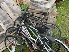 Dino bikes aurelia usato  Volvera