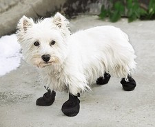 Hunde pfotenschuhe pfotenschut gebraucht kaufen  Kamenz-Umland