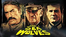 Sea wolves dvd for sale  BEXHILL-ON-SEA