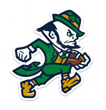Notre dame fighting for sale  Leslie
