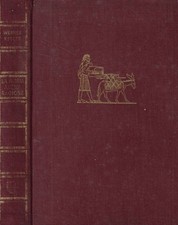 bibbia ragione usato  Italia