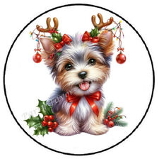 Yorkie christmas dog for sale  Palm Springs