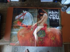 Metal hammer poster gebraucht kaufen  Calberlah